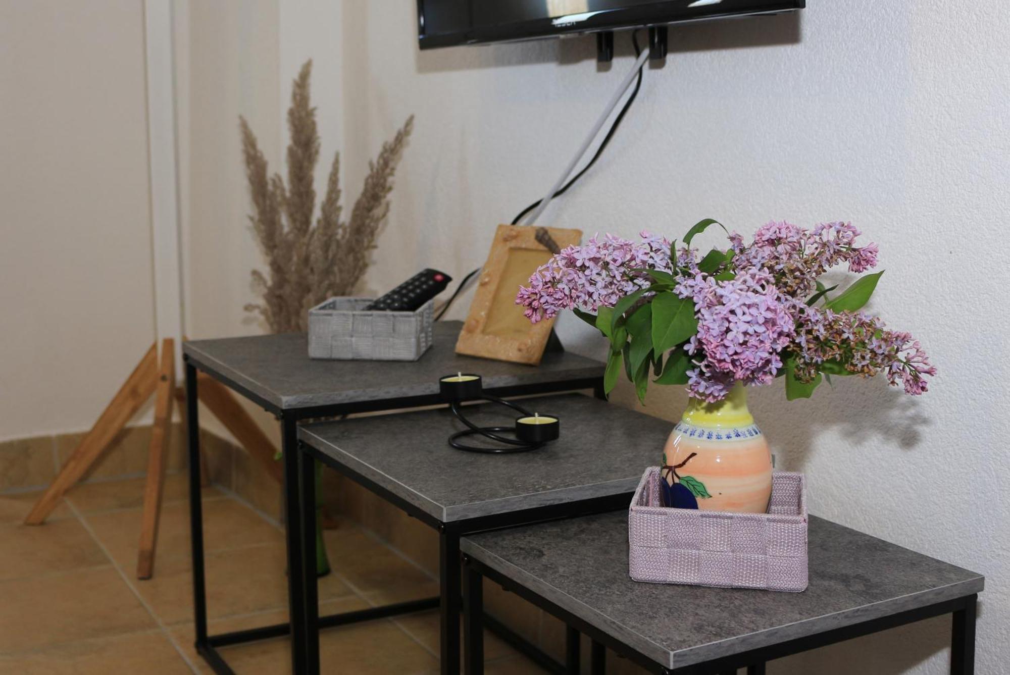 Apartman Kristina 비르브닉 외부 사진